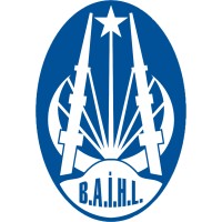Beyoğlu Anatolian İHL logo